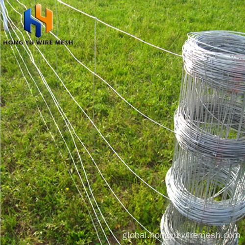 Farm Fence With Wire Mesh electric horse wire fence roll poultry netting Manufactory